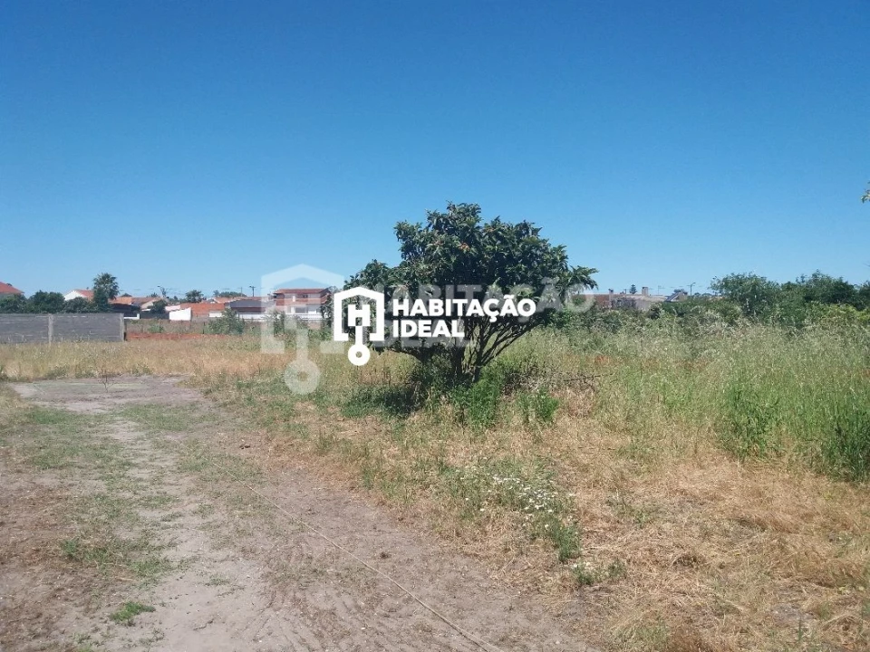 Terreno para Venda em Vagos e Santo António Foto 2