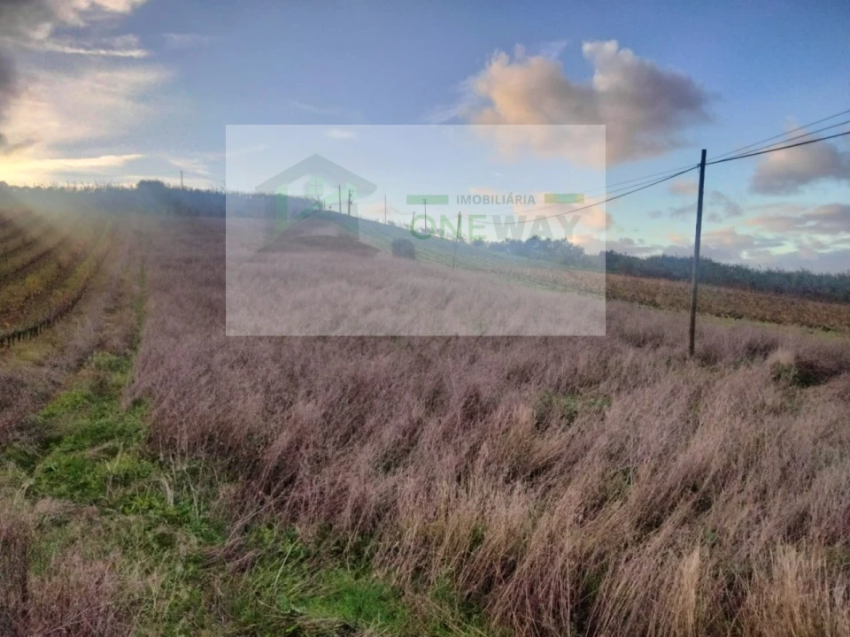 Terreno para Venda em Freiria Foto 1