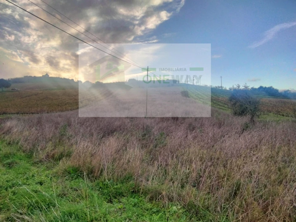 Terreno para Venda em Freiria Foto 3