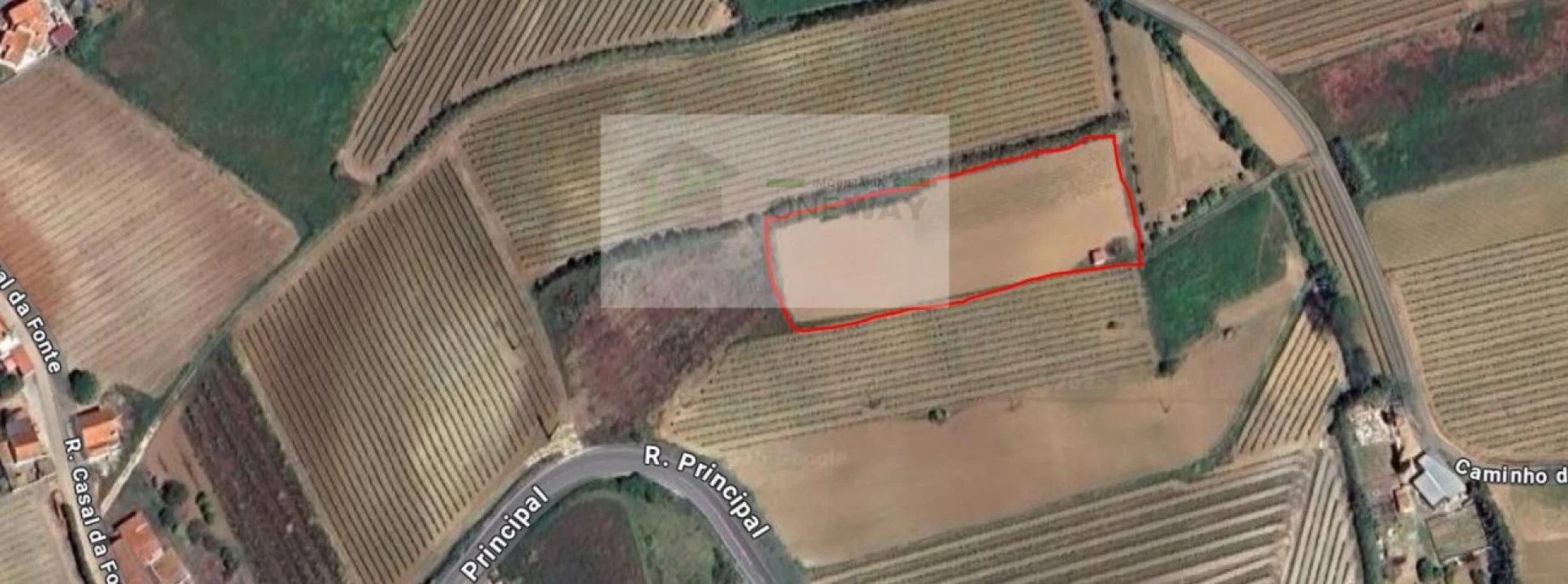 Terreno para Venda em Freiria Foto 4