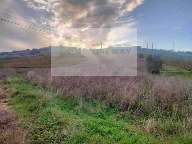 Terreno para Venda em Freiria Foto 2