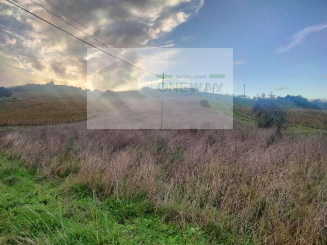 Terreno para Venda em Freiria Foto 3