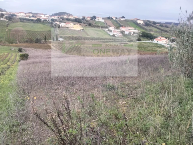 Terreno para Venda em Freiria Foto 5