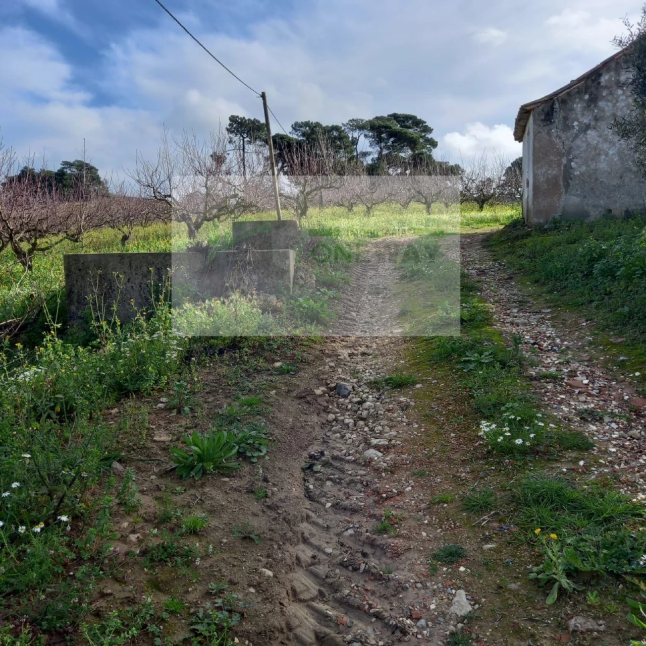Terreno para Venda em Azueira e Sobral da Abelheira Foto 8