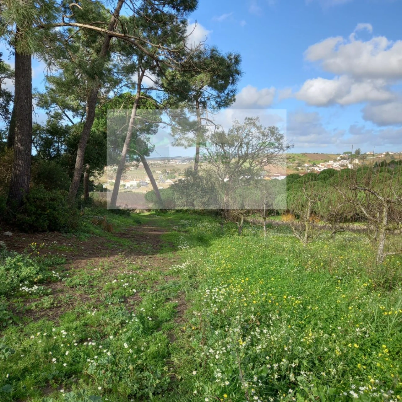 Terreno para Venda em Azueira e Sobral da Abelheira Foto 11