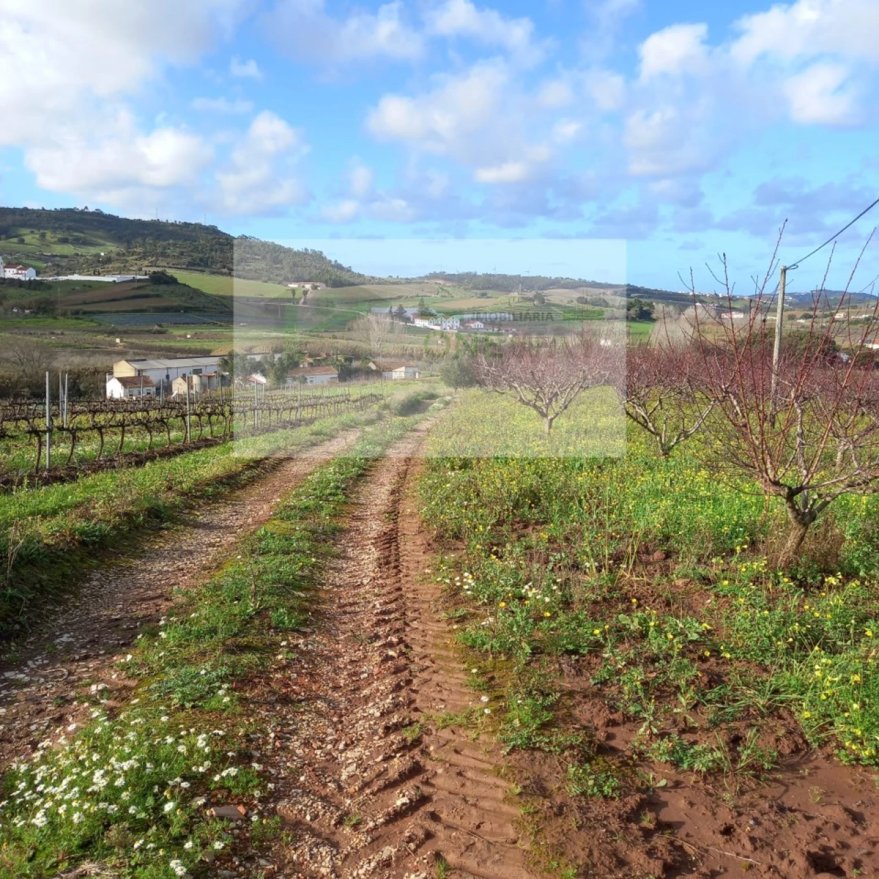 Terreno para Venda em Azueira e Sobral da Abelheira Foto 16