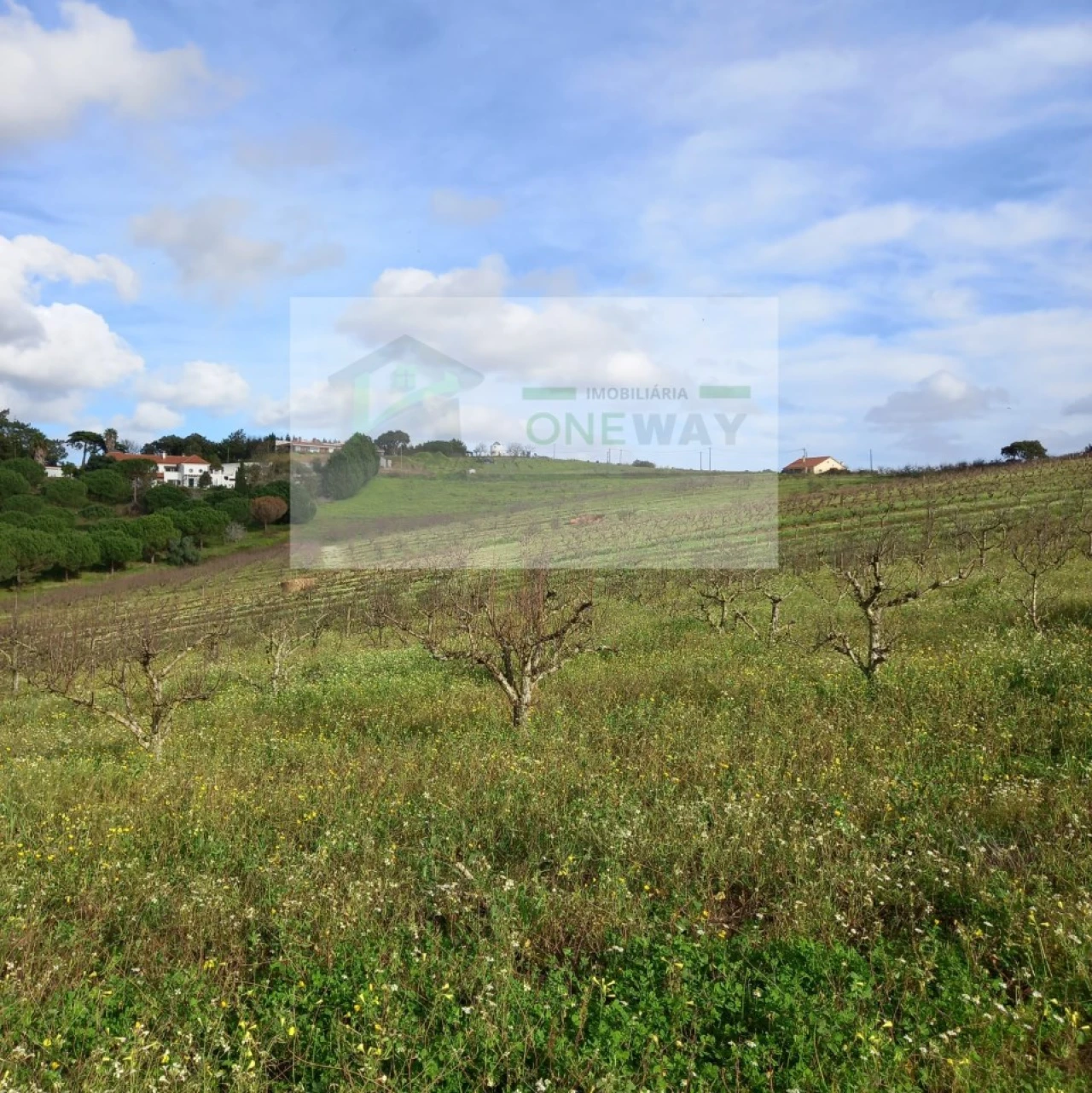 Terreno para Venda em Azueira e Sobral da Abelheira Foto 17