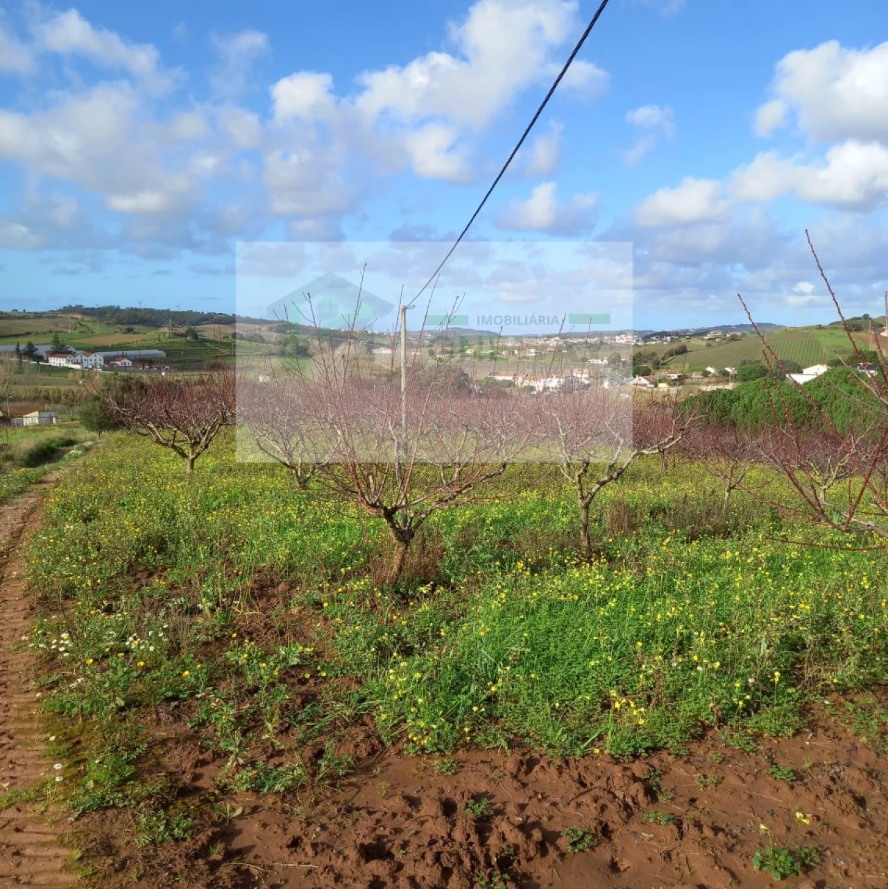 Terreno para Venda em Azueira e Sobral da Abelheira Foto 18