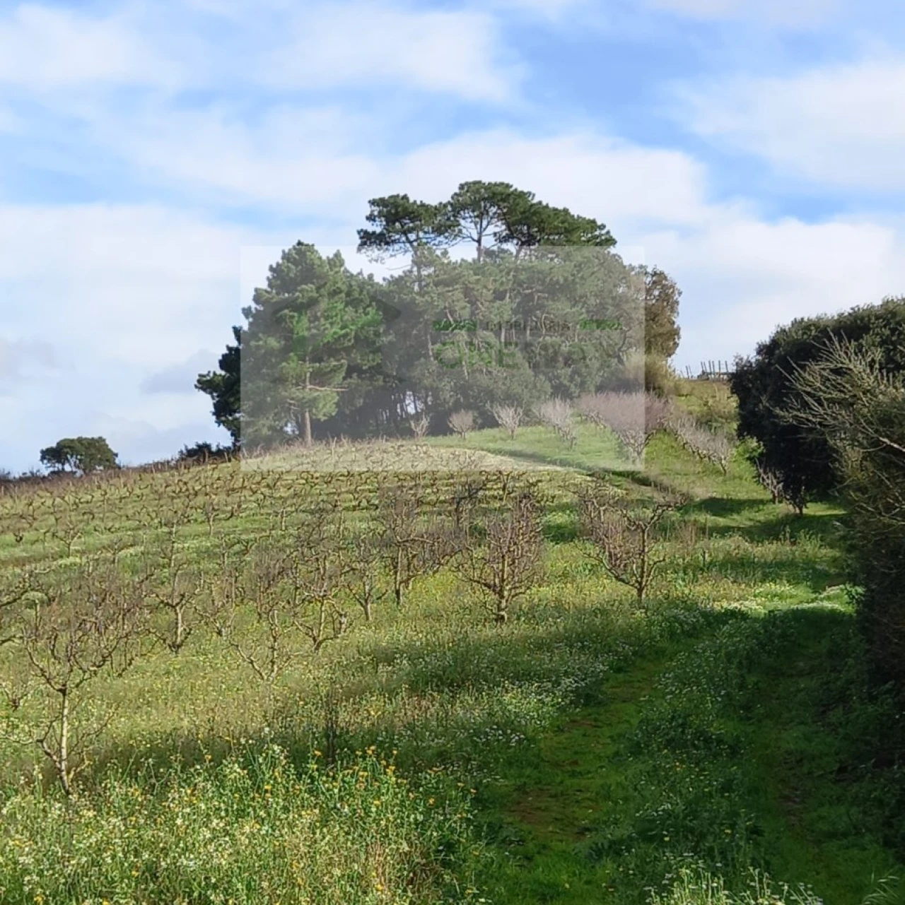 Terreno para Venda em Azueira e Sobral da Abelheira Foto 21