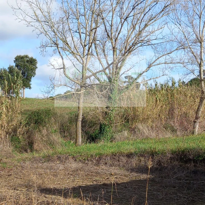 Terreno para Venda em Azueira e Sobral da Abelheira Foto 24