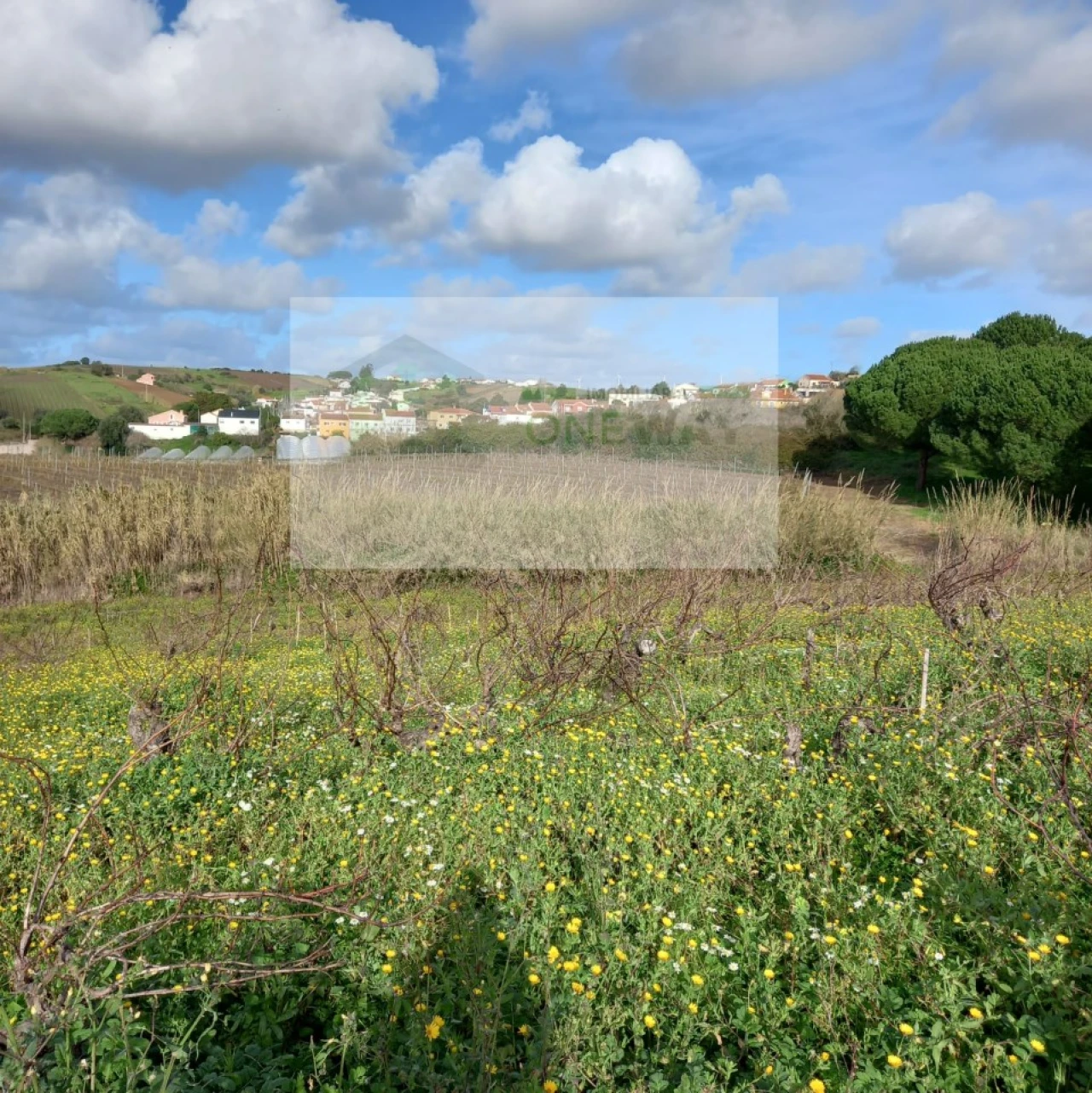 Terreno para Venda em Azueira e Sobral da Abelheira Foto 29