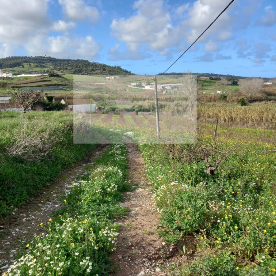 Terreno para Venda em Azueira e Sobral da Abelheira Foto 7