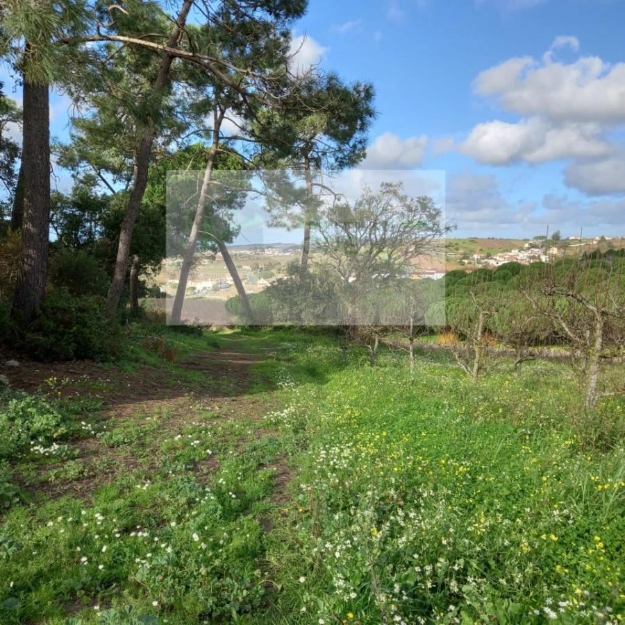 Terreno para Venda em Azueira e Sobral da Abelheira Foto 11