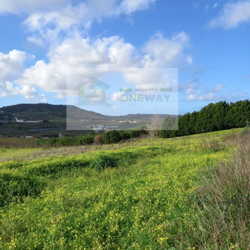 Terreno para Venda em Azueira e Sobral da Abelheira Foto 22