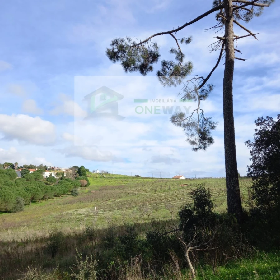 Terreno para Venda em Azueira e Sobral da Abelheira Foto 25