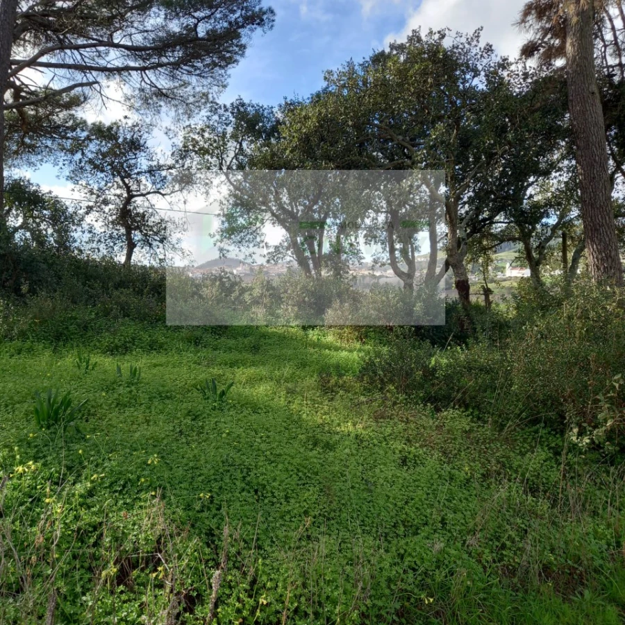 Terreno para Venda em Azueira e Sobral da Abelheira Foto 26