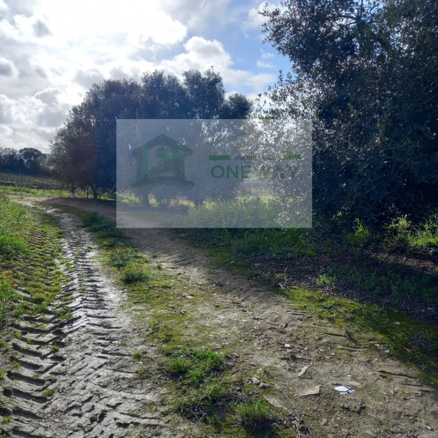 Terreno para Venda em Azueira e Sobral da Abelheira Foto 28