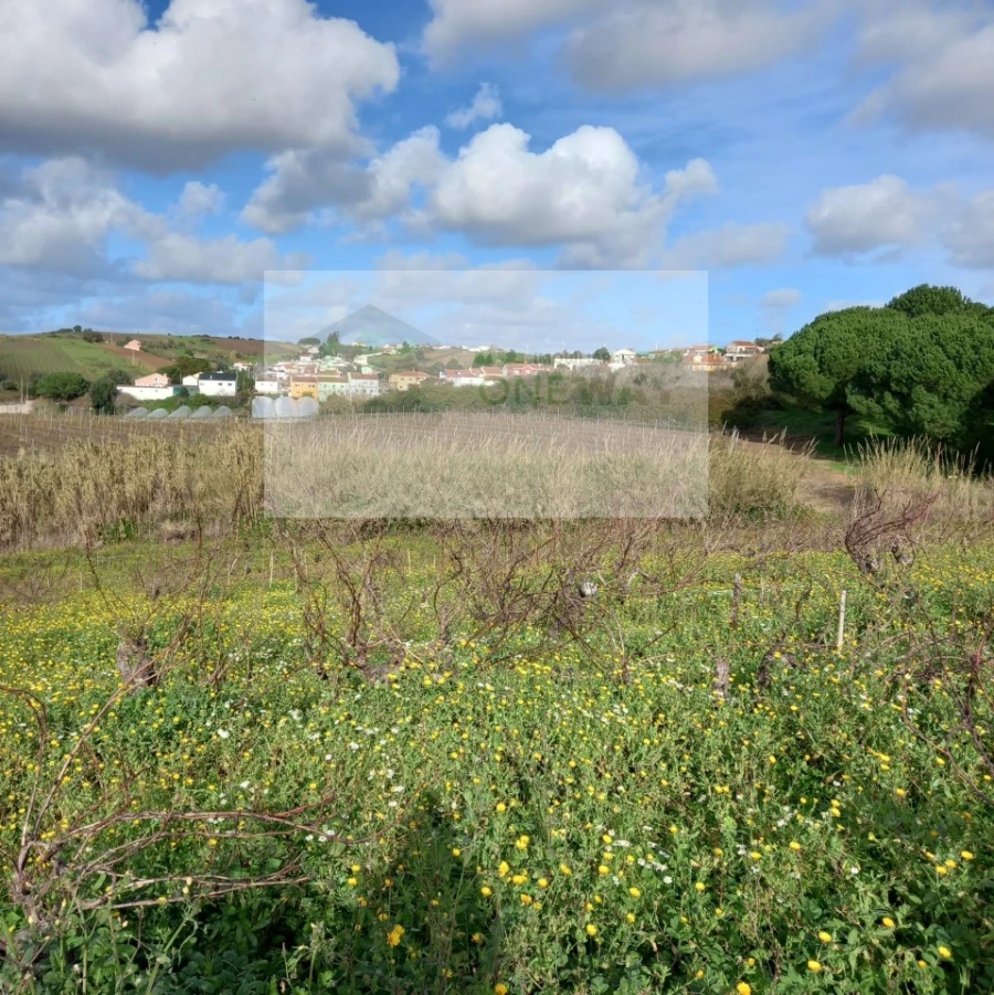 Terreno para Venda em Azueira e Sobral da Abelheira Foto 29