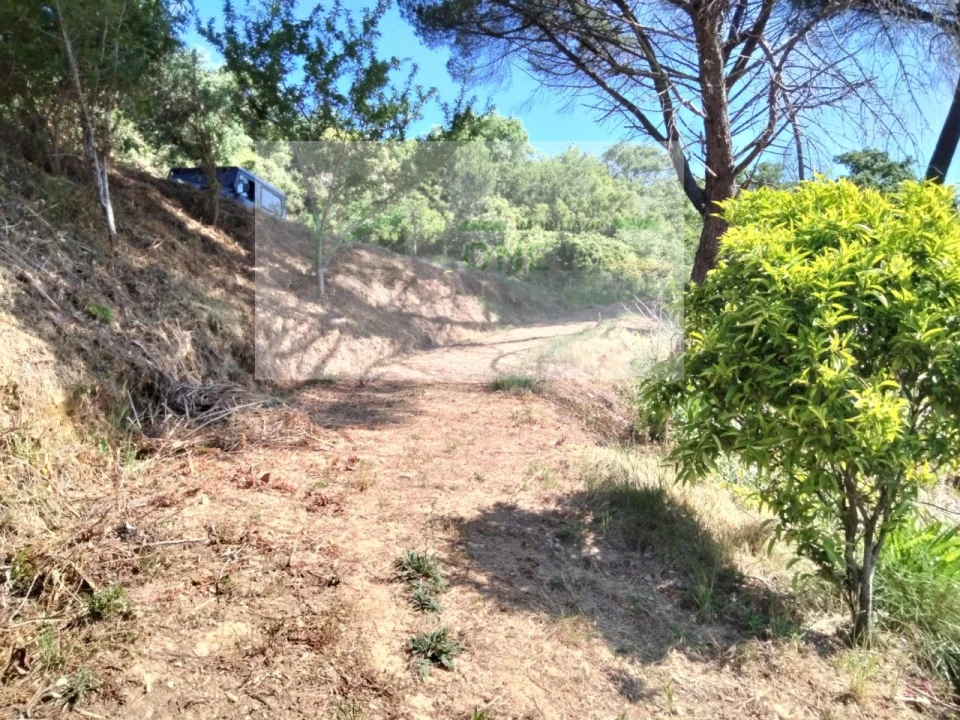 Terreno para Venda em Venda do Pinheiro e Santo Estêvão das Galés Foto 7
