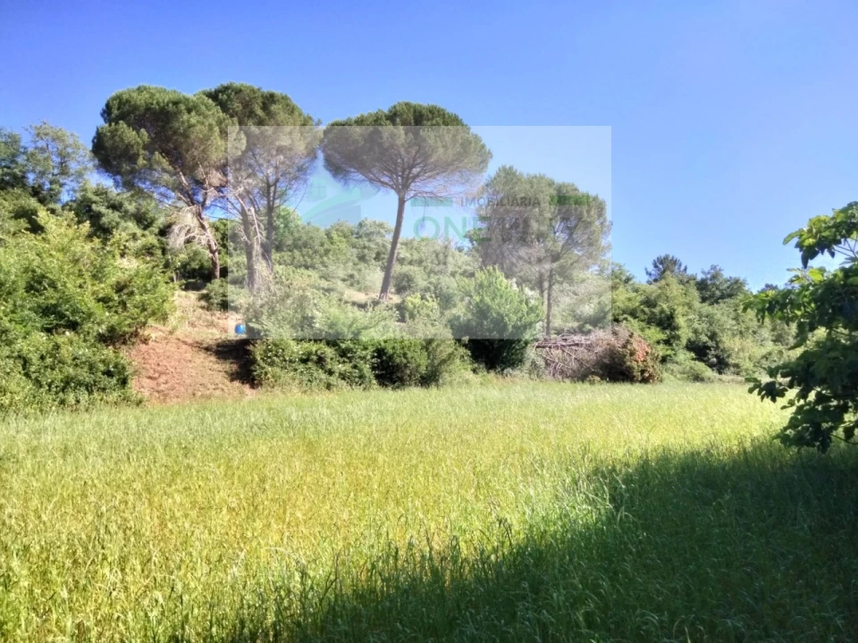 Terreno para Venda em Venda do Pinheiro e Santo Estêvão das Galés Foto 2