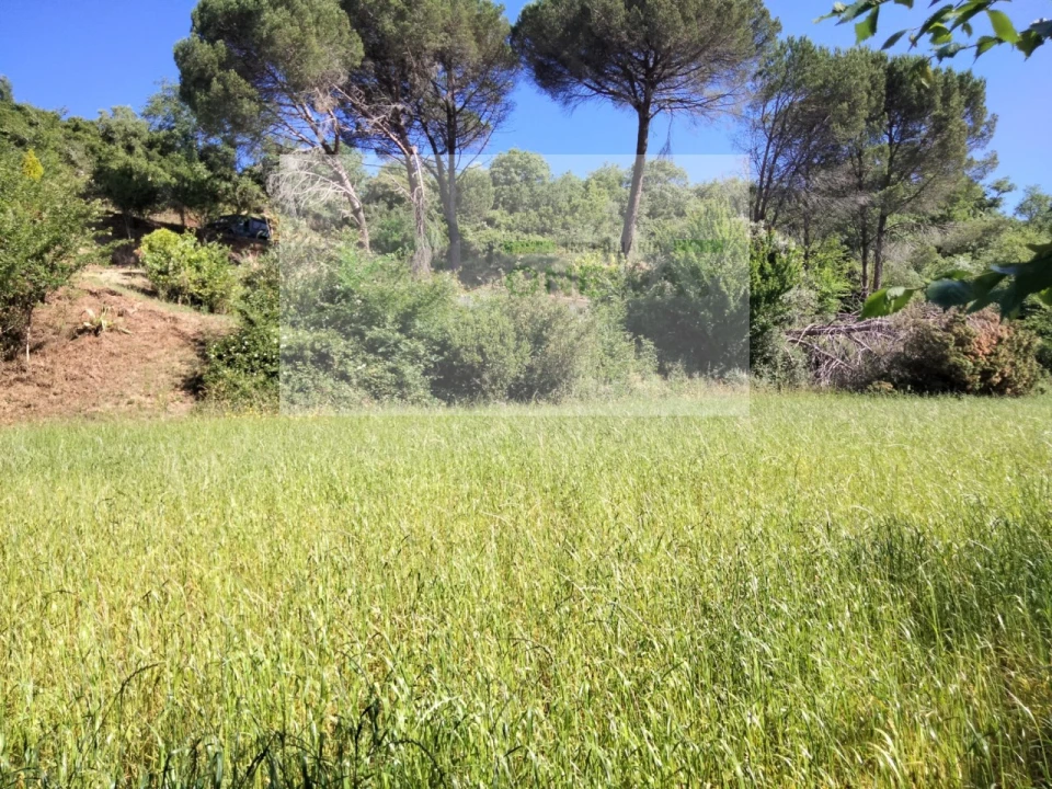 Terreno para Venda em Venda do Pinheiro e Santo Estêvão das Galés Foto 8