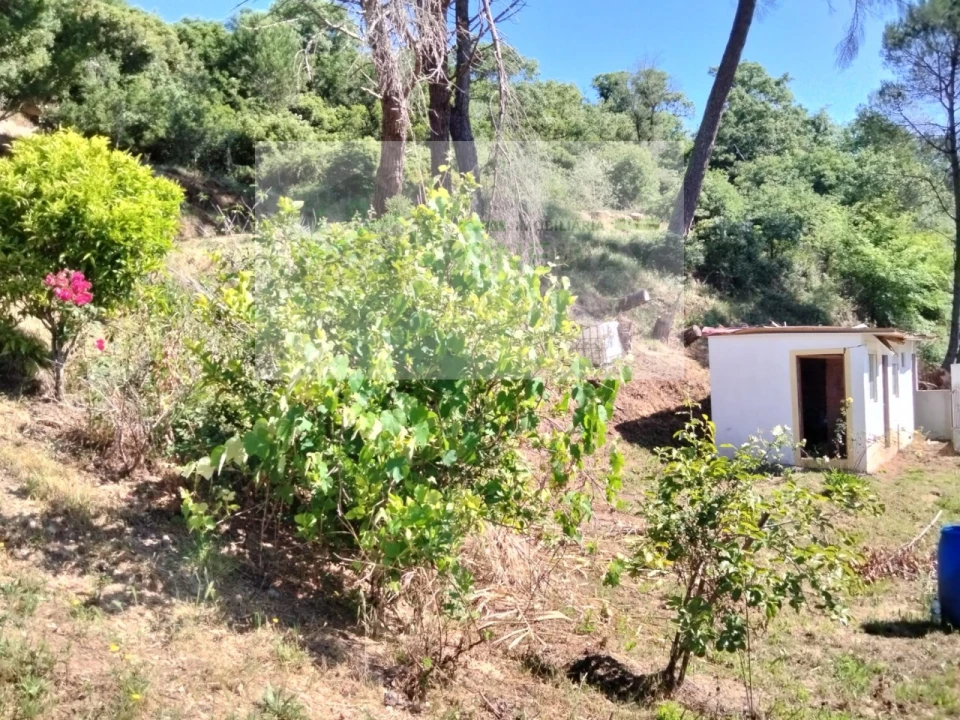 Terreno para Venda em Venda do Pinheiro e Santo Estêvão das Galés Foto 11
