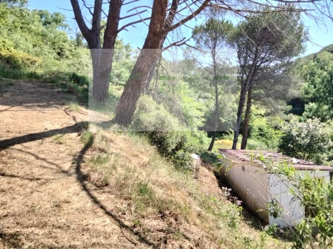 Terreno para Venda em Venda do Pinheiro e Santo Estêvão das Galés Foto 10
