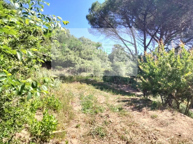 Terreno para Venda em Venda do Pinheiro e Santo Estêvão das Galés Foto 1