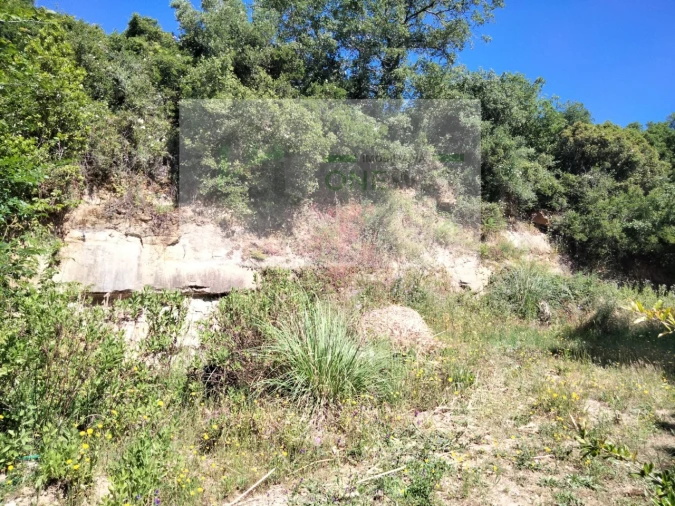 Terreno para Venda em Venda do Pinheiro e Santo Estêvão das Galés Foto 13