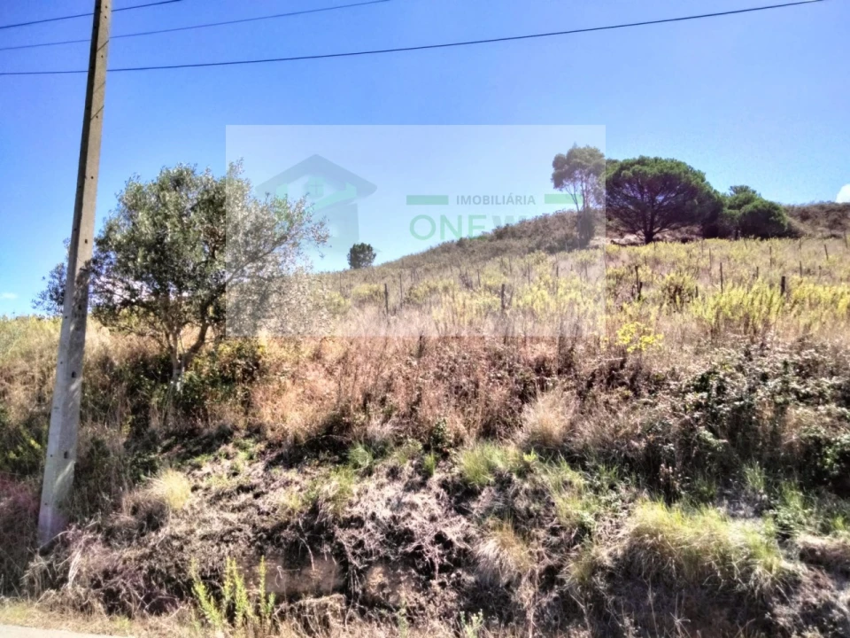 Terreno para Venda em Freiria Foto 3