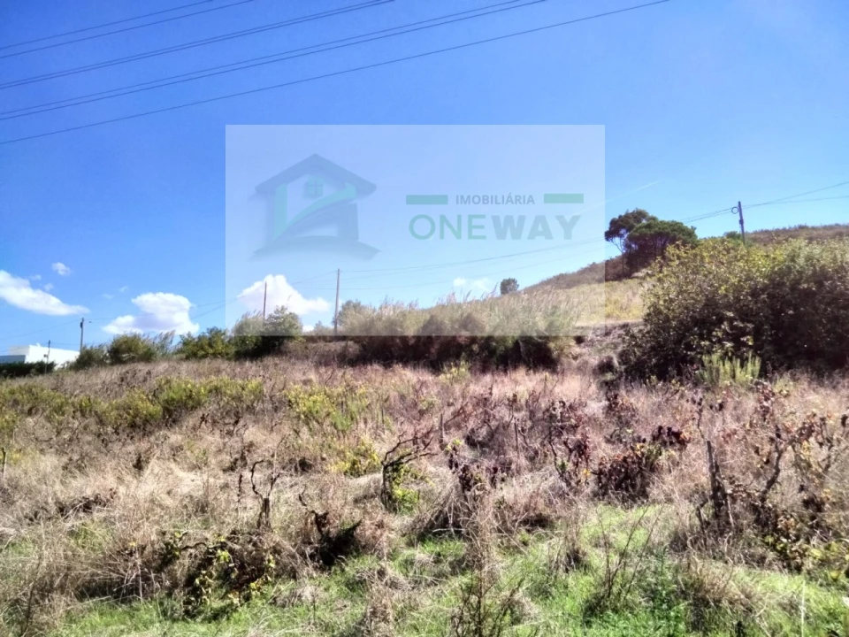 Terreno para Venda em Freiria Foto 4