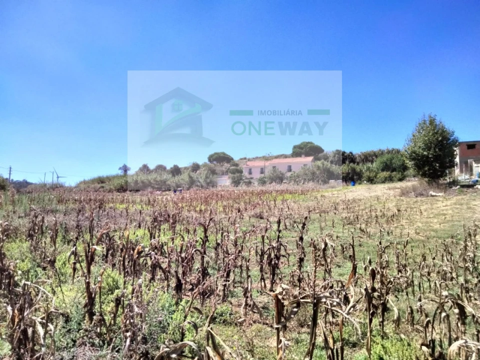 Terreno para Venda em Freiria Foto 5