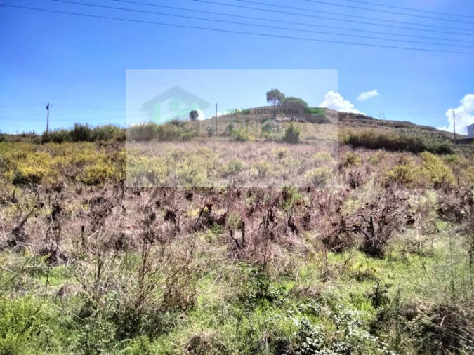 Terreno para Venda em Freiria Foto 1