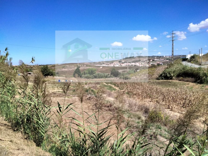 Terreno para Venda em Freiria Foto 6