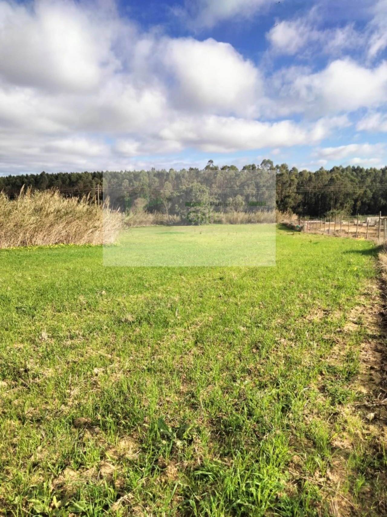 Terreno para Venda em Encarnação Foto 13