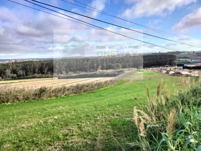 Terreno para Venda em Encarnação Foto 2