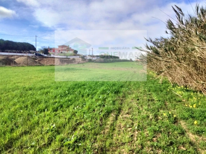 Terreno para Venda em Encarnação Foto 8