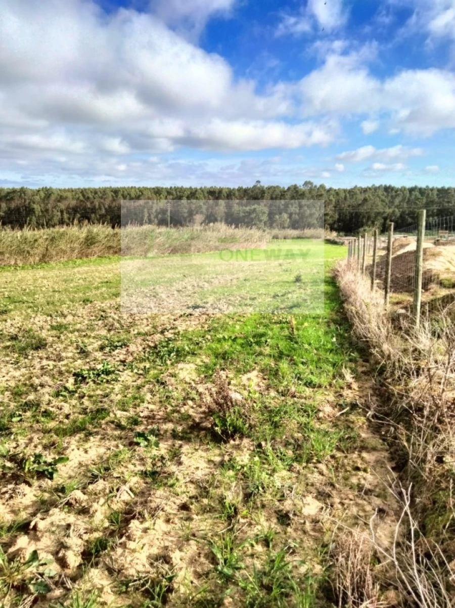 Terreno para Venda em Encarnação Foto 11