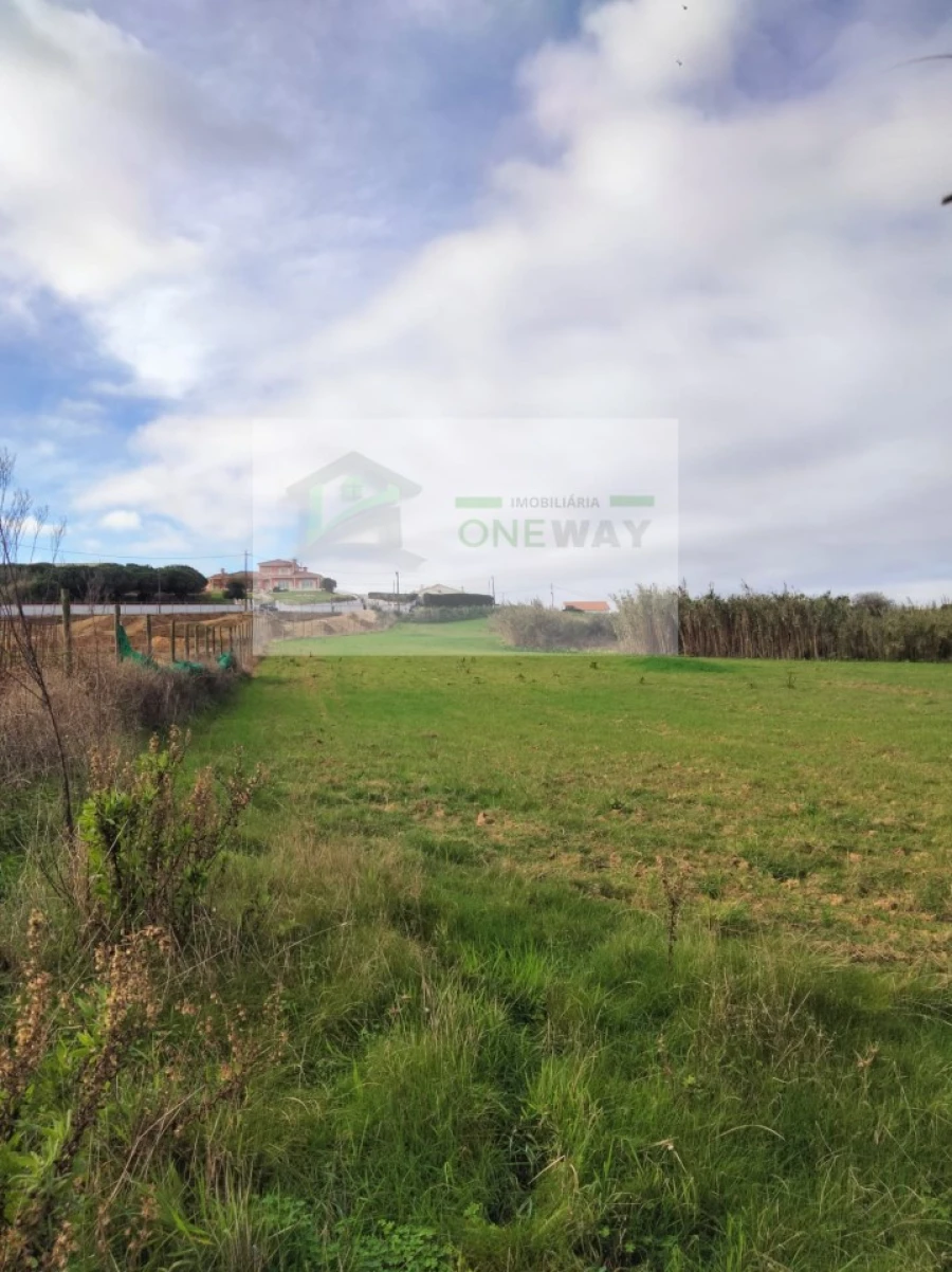 Terreno para Venda em Encarnação Foto 12