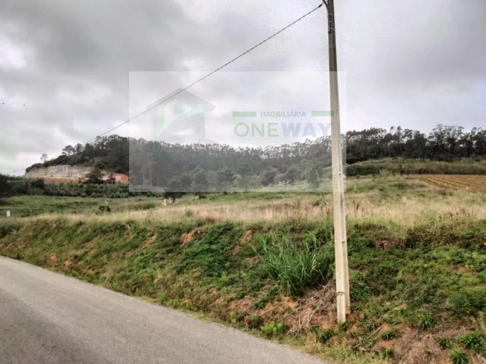 Terreno para Venda em Freiria Foto 3