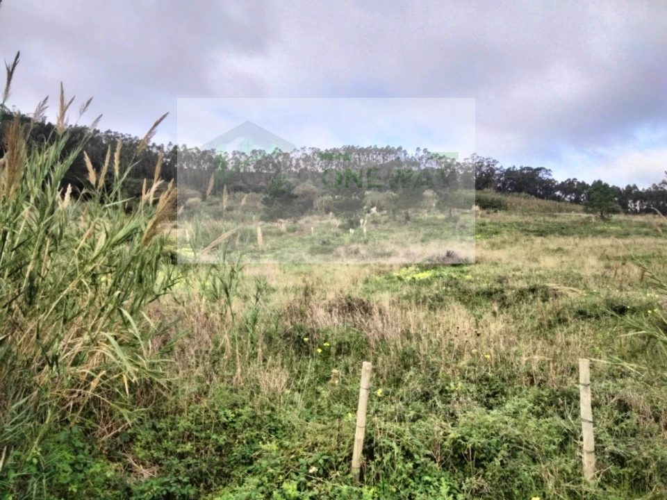 Terreno para Venda em Freiria Foto 6