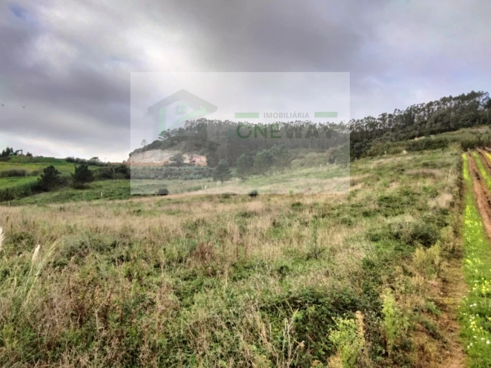 Terreno para Venda em Freiria Foto 1