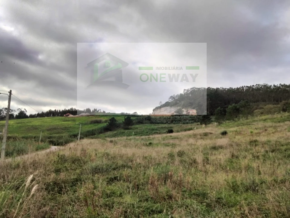 Terreno para Venda em Freiria Foto 5