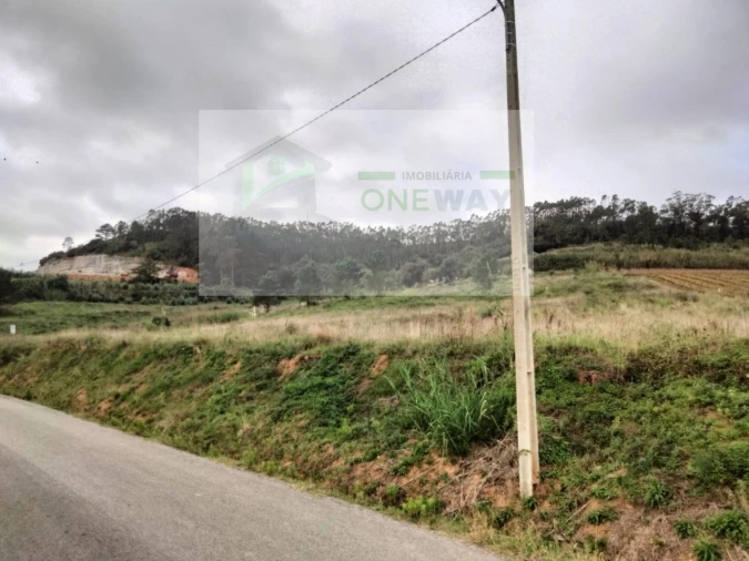 Terreno para Venda em Freiria Foto 3