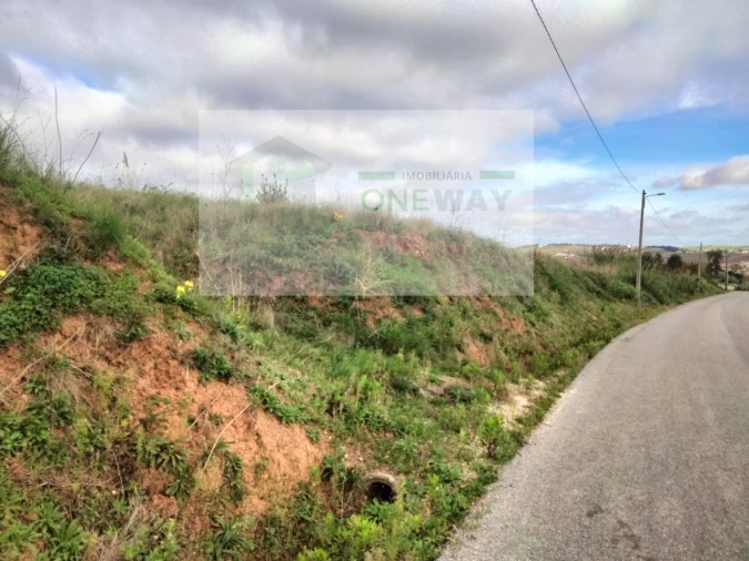 Terreno para Venda em Freiria Foto 2