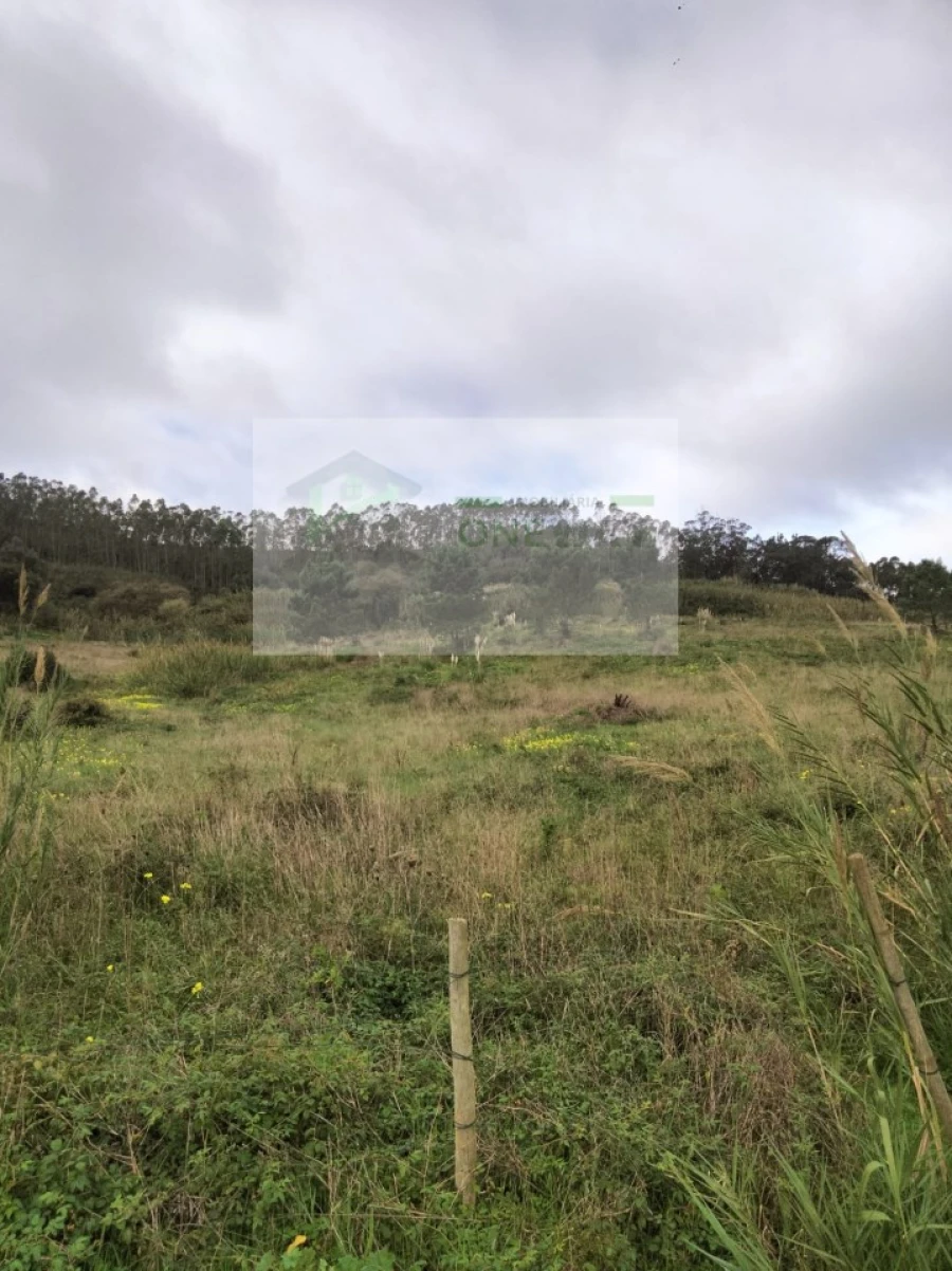 Terreno para Venda em Freiria Foto 11