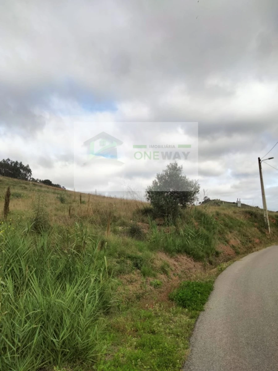 Terreno para Venda em Freiria Foto 10