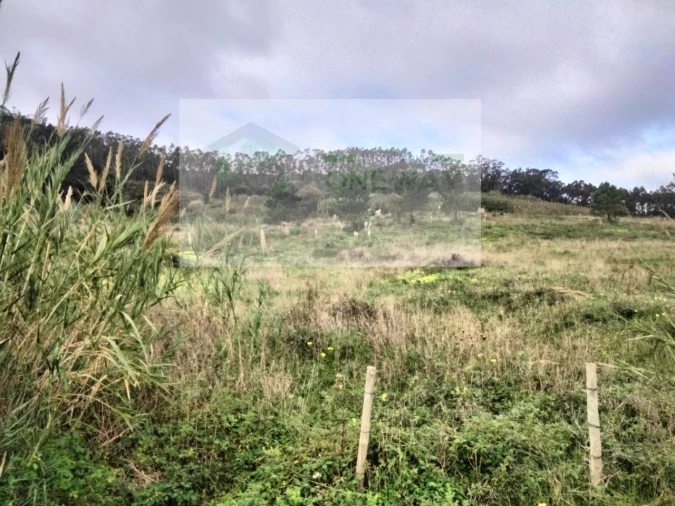 Terreno para Venda em Freiria Foto 6