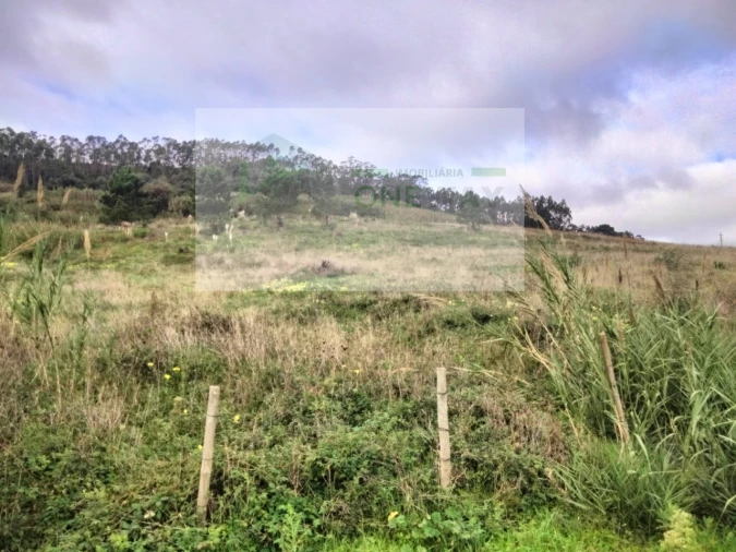 Terreno para Venda em Freiria Foto 8