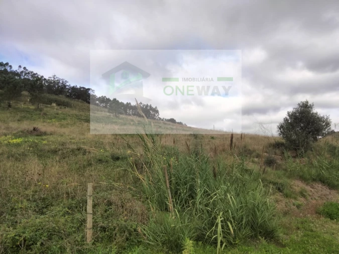 Terreno para Venda em Freiria Foto 7